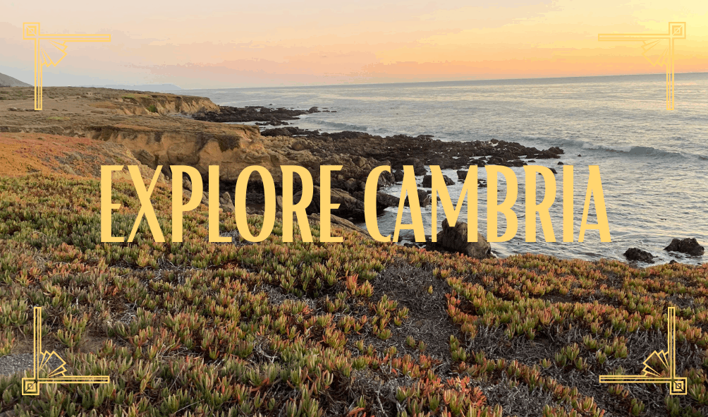 Click this link to learn what to do and where to go when visiting Cambria, CA