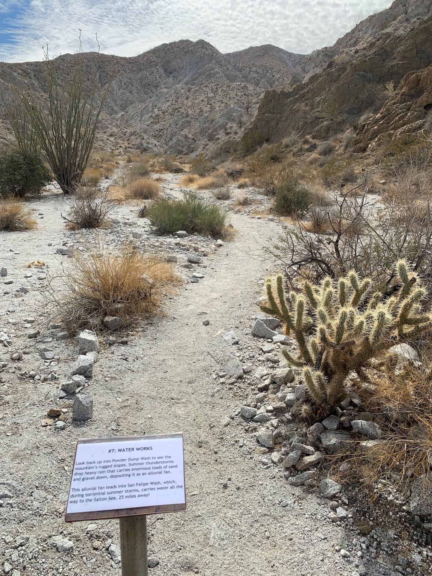 ANZA-BORREGO DRIVING TOUR | Mile Marker Memories