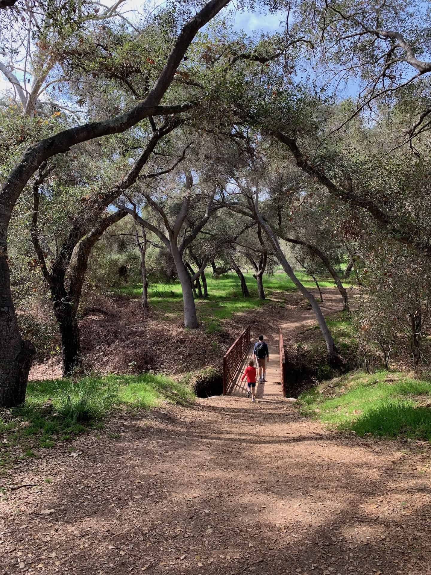 FELICITA COUNTY PARK – A MORNING ADVENTURE WITH KIDS