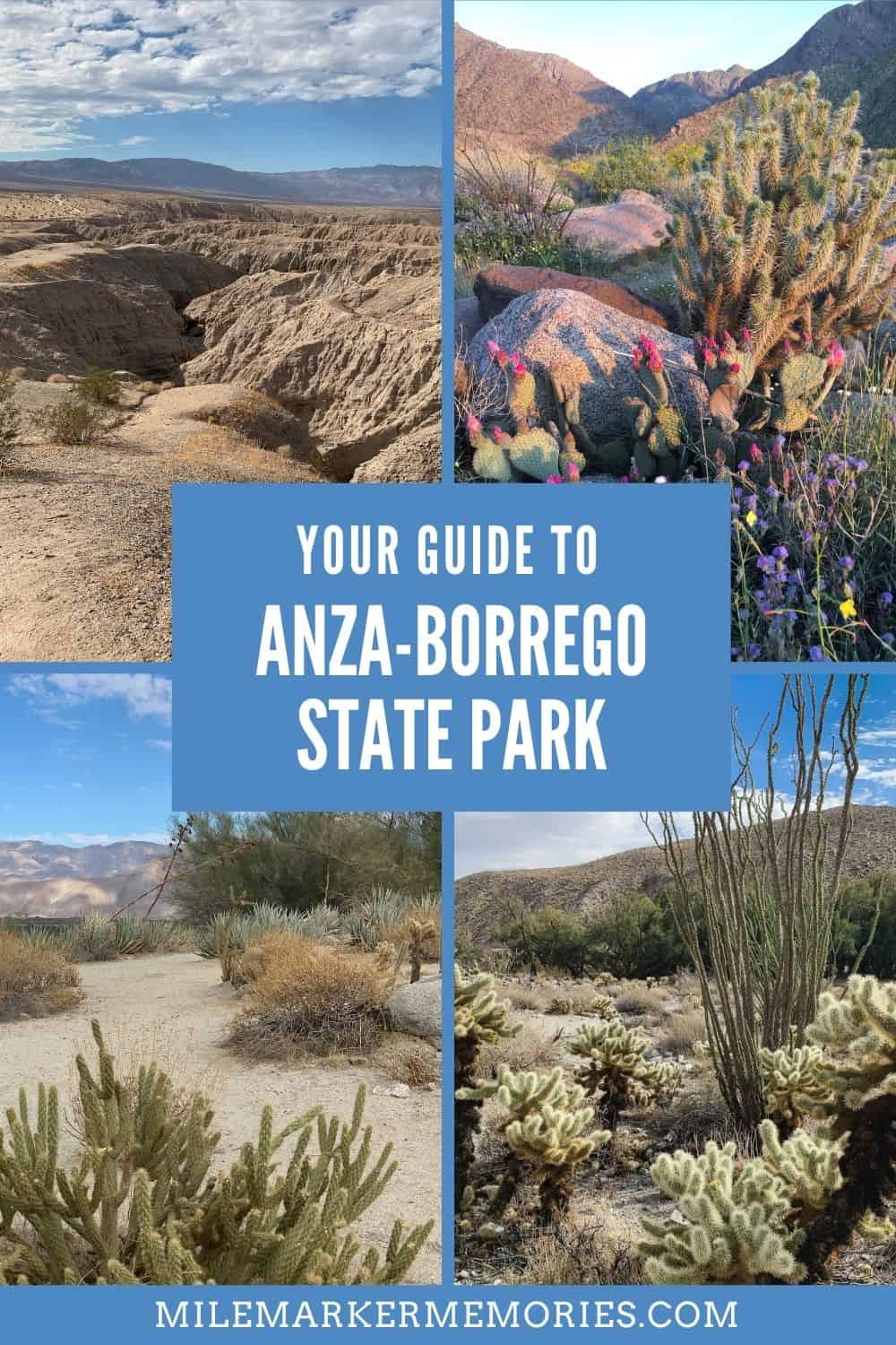 guide to Anza-Borrego desert with kids, what to do, what to see, where to eat, where to stay in Anza-Borrego