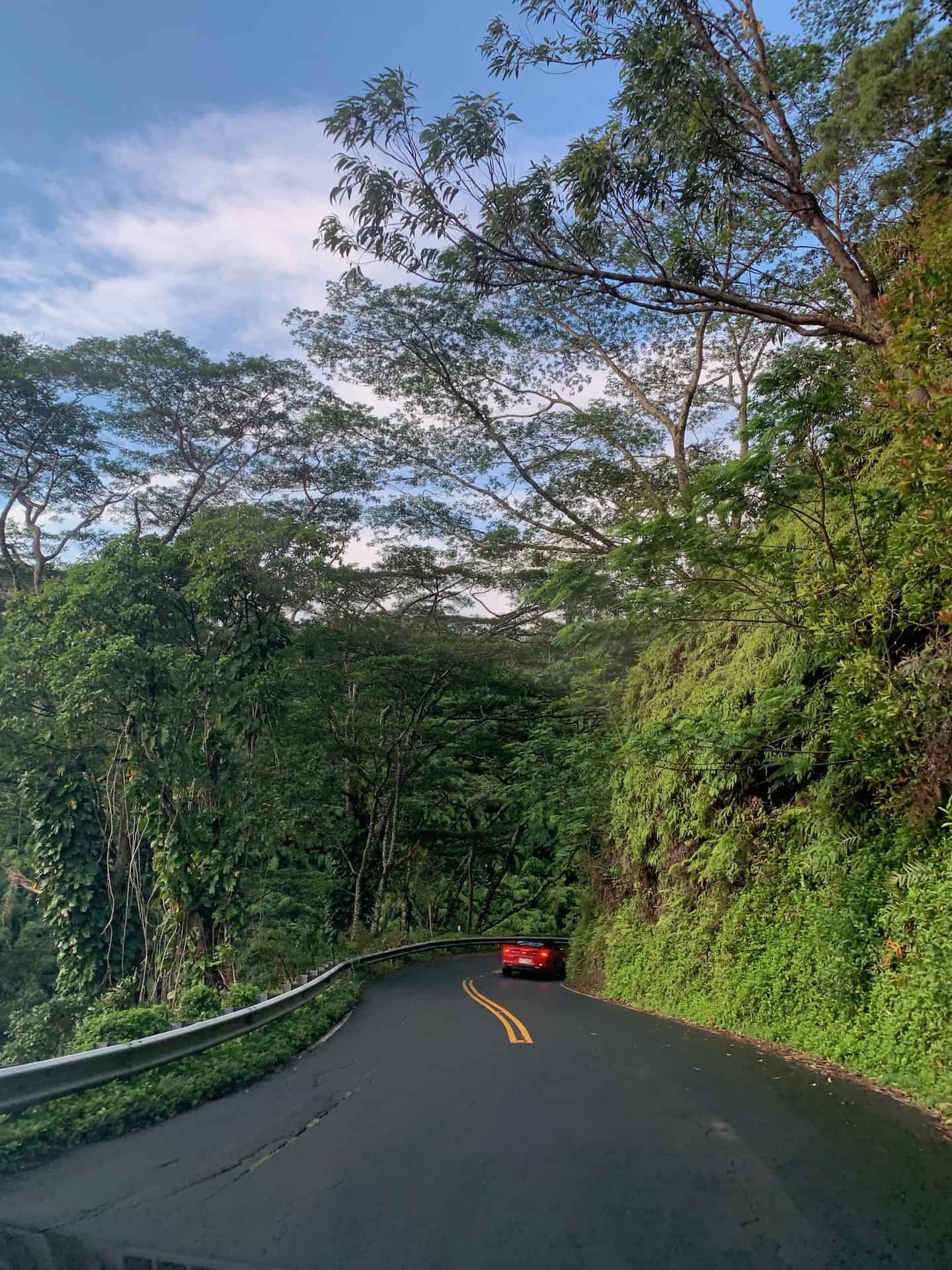 DRIVING THE ROAD TO HANA WITH KIDS